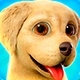 Игры Про Собак Игры Про Собак