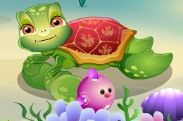 Игра Уход за Черепашкой Игра Уход за Черепашкой / Turtle care