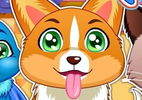 Игра Больница для Животных Игра Больница для Животных