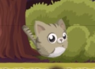 Игра Прыгающий Котенок Игра Прыгающий Котенок / Jump Kitty