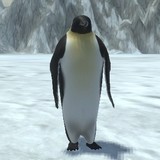 Игра Маленький Пингвин 3D