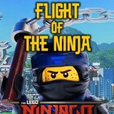 Игра Лего Ниндзяго: Полет Ниндзя