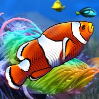 Игра Морские Рыбы 2 Игра Морские Рыбы 2 / Sea Fishes 2