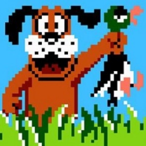 Duck Hunt / Охота на уток 🔥 Играть Онлайн