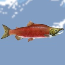 Игра Salmonz.io | Лосось ио Игра Salmonz.io | Лосось ио / Salmonz.io