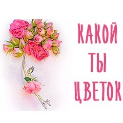 Тест какой ты цветок. Игра какой ты цветок.