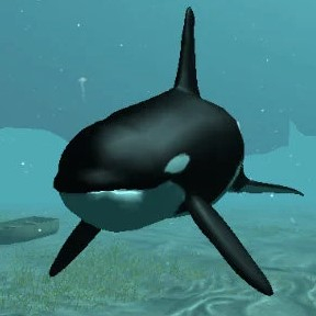 Игра Косатка Убийца Игра Косатка Убийца / Killer Whale