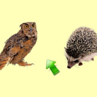 Игра Найди Лишнее Животное Игра Найди Лишнее Животное