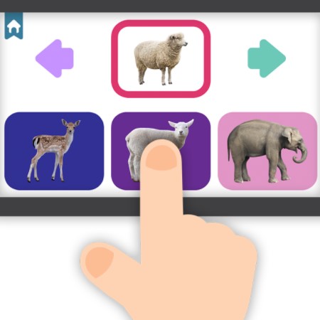 Игра Детеныш Животного Игра Детеныш Животного / Baby Animal