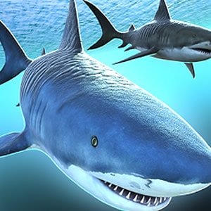 Игра Акулы 3Д Мультиплеер Игра Акулы 3Д Мультиплеер / Sharks 3D Multiplayer