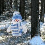 Игра Чудесное Приключение в Зимнем Лесу