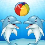 Дельфин с Мячиком