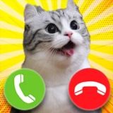 Игра Комару Кот