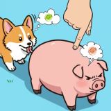 Игра Сложная Головоломка: Разбери Ферму с Животными