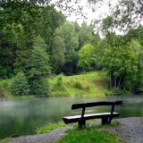 Игра Лес Пазлы