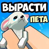 Игра Вырасти Пета